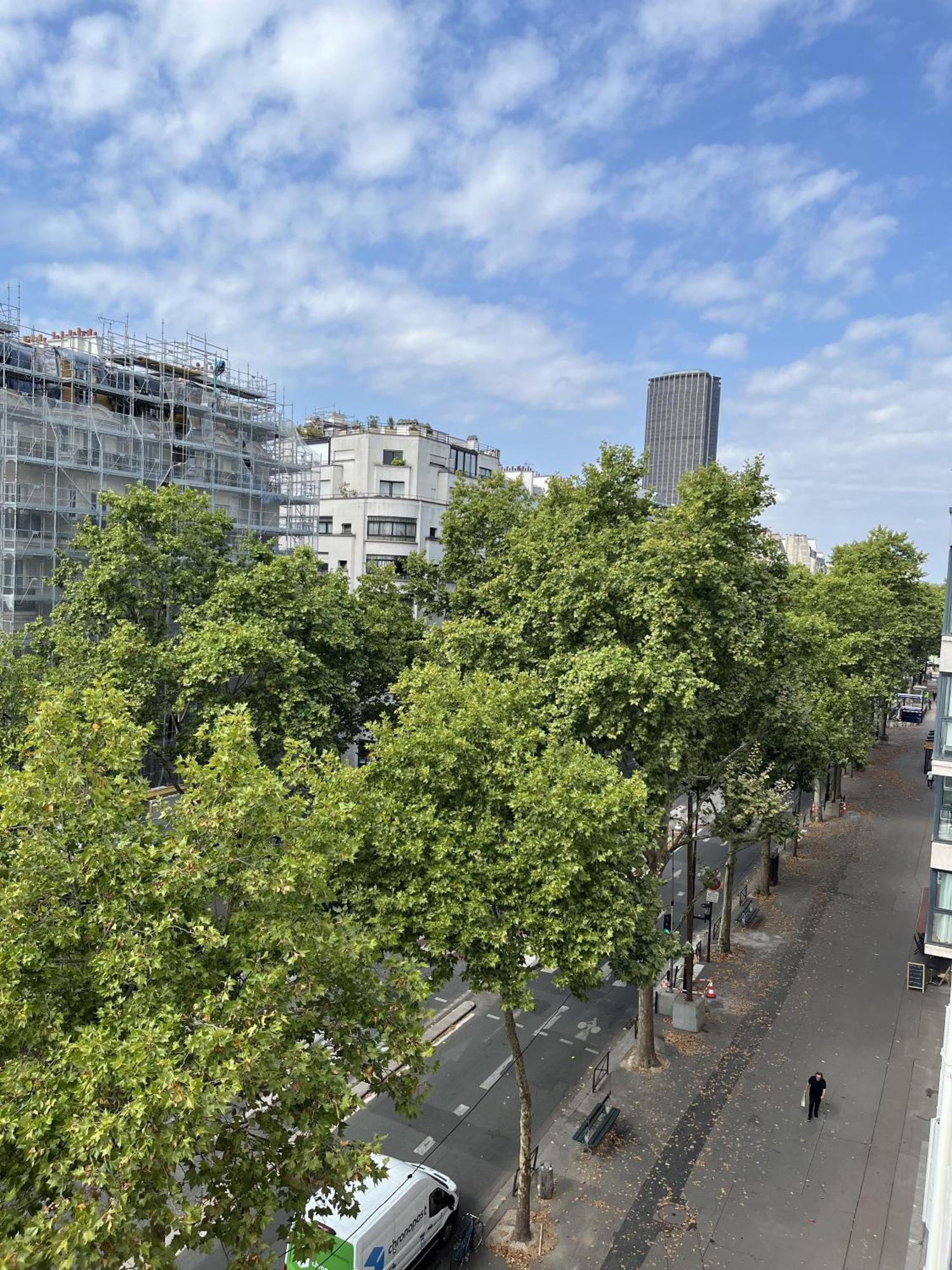 Hotel Nude - Color Vision